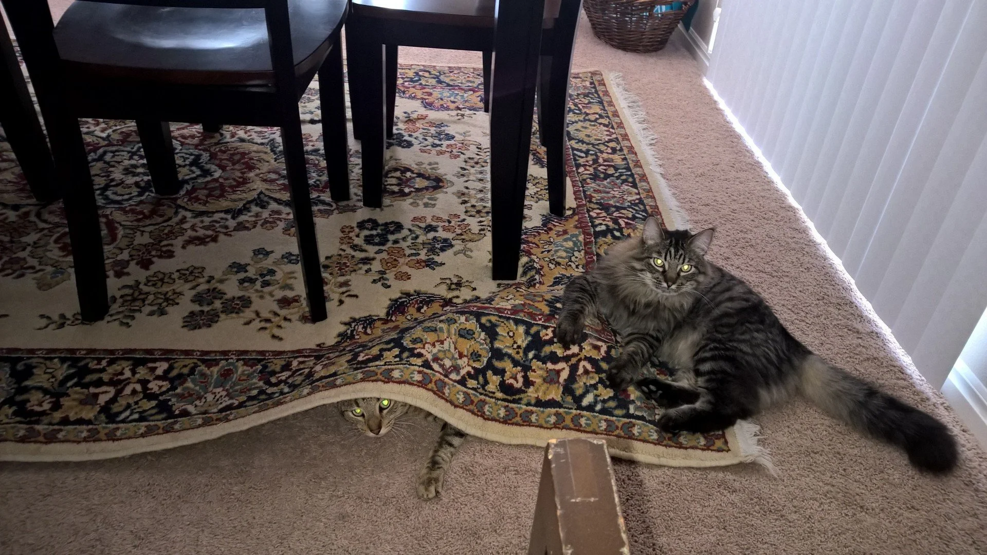 They weren't doing anything...