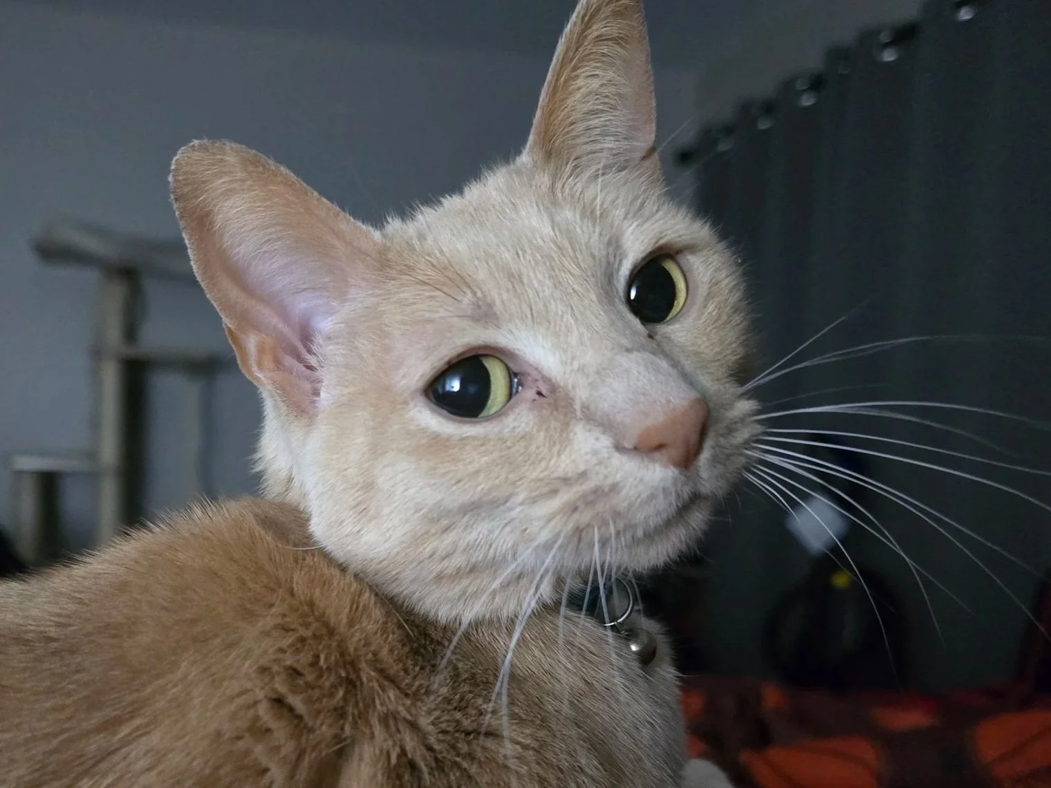 Sandstorm is just happy to be here.