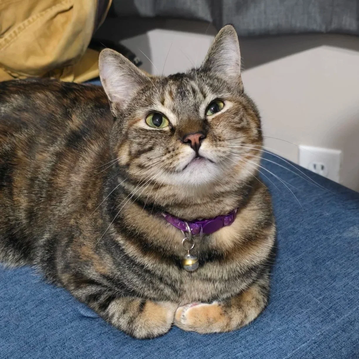 Sylvie stole your seat and feels no regret.