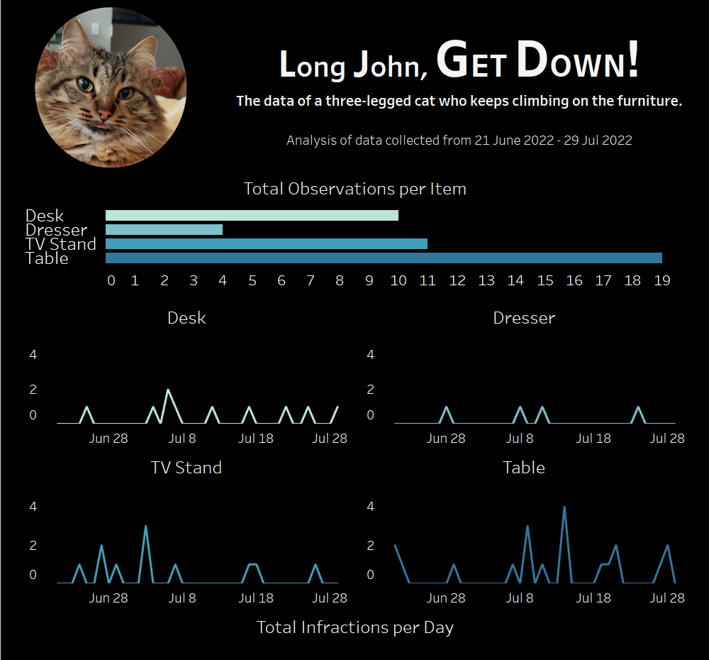 The top and main data of the dashboard, showing total observations and their breakdown into a line graph tallying infractions over the weeks the data was recorded.