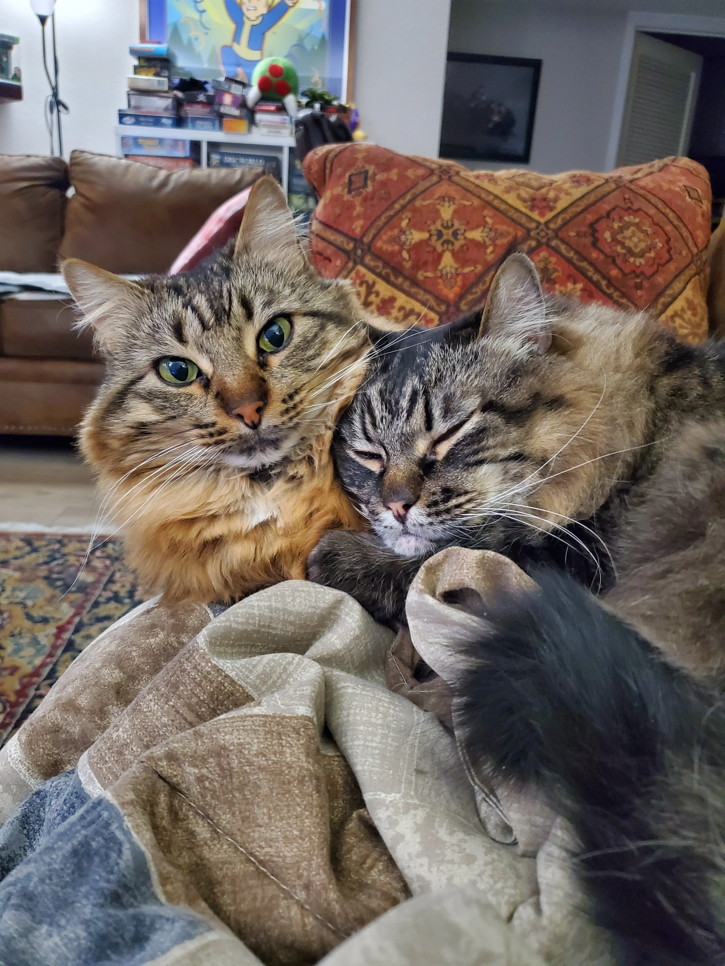 Long John and Fandango snuggling on a cold day.