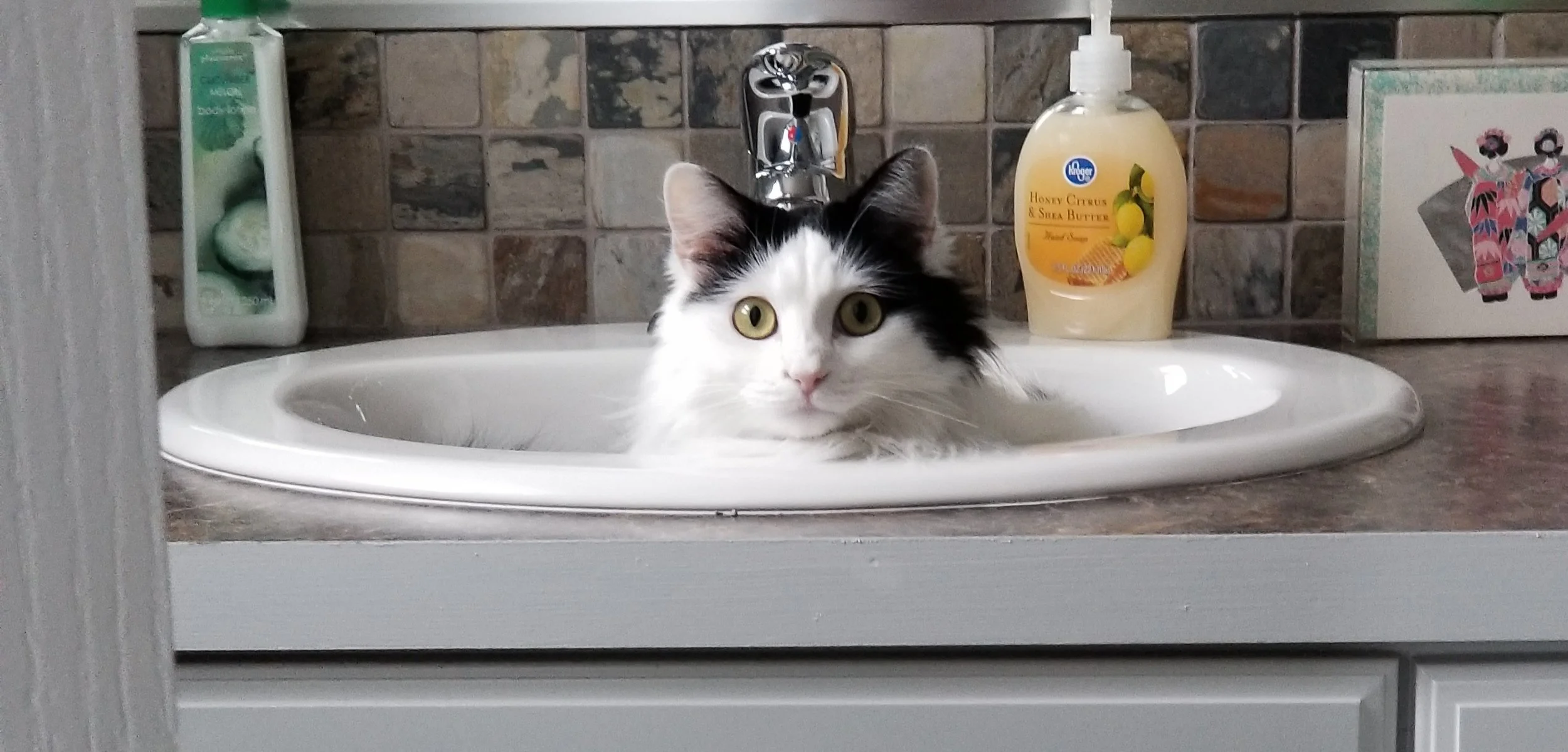 Noodle in the sink.