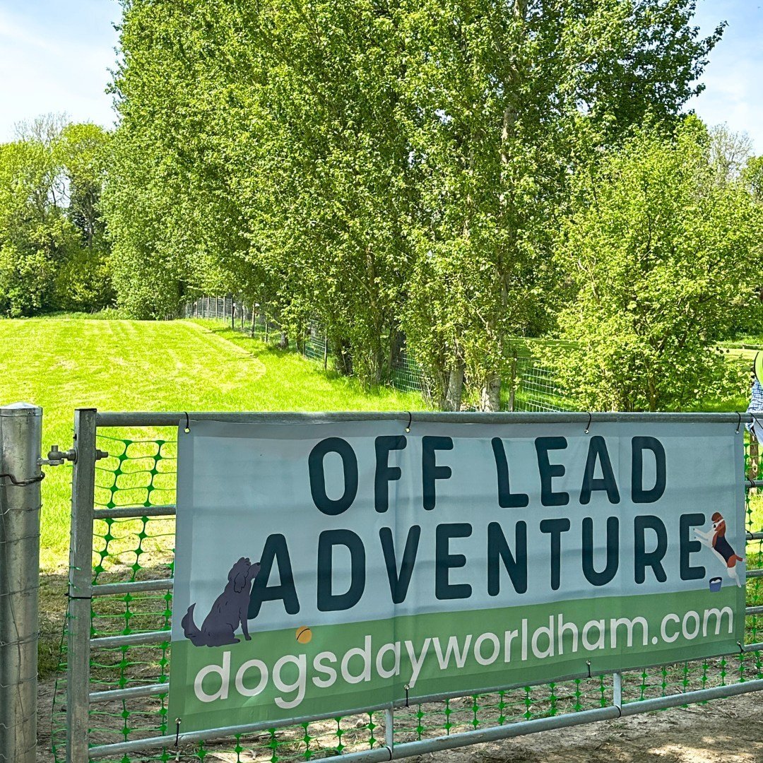 Do you want to give your pup an extra special experience this May? 👀 Why not book them a session in the off lead adventure area at this year's Dogs Day Out? Make sure you book soon, spots will run out! 

This awesome 3 acre paddock is completely enc