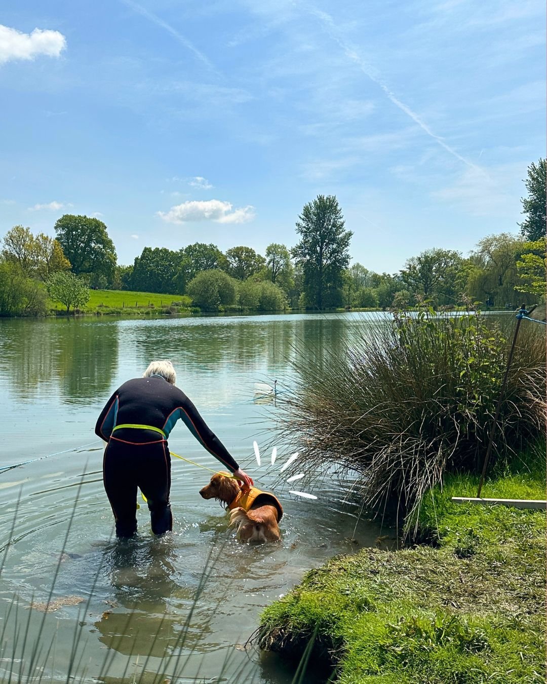 Sue Lloyd from Snazzy Swimmers is ready to be up to her waist in pond water this weekend, to let your dog have the swim of his or her life🌊

Our lake is out of bounds to other dogs, but book in with Sue and she will put a safety jacket on your dog a