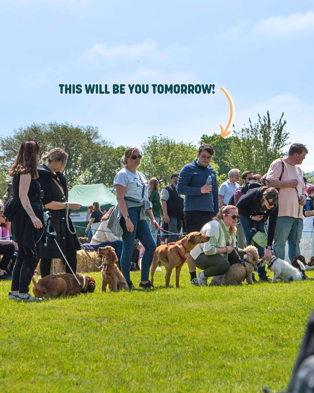 Less than 24 hours to go until Dogs Day Out 2024! 🎉 Who's excited about the event! 

We cannot wait to see you all there🐶 Make sure to have your tickets downloaded on your phone through Eventbrite🎟

Kind reminder that dogs must be on a fixed lead?