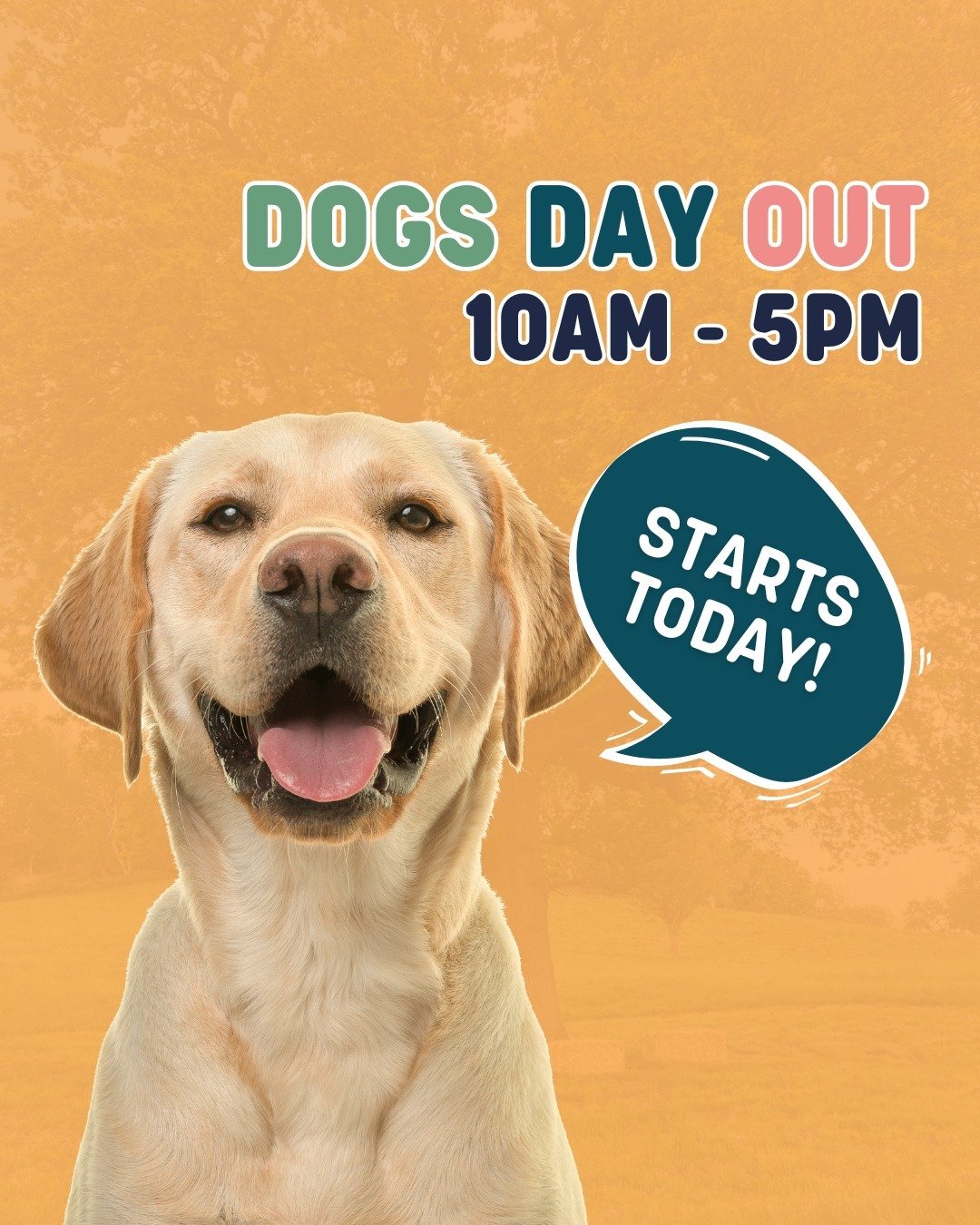 Today's the day! 🐶We can't wait to see you all in East Worldham🥳

A few important reminders...

🐶 D�ogs must be on a lead at all times, unless in the designated off-lead area. No extendable leads! 

🎟Please make sure you have your ticket download