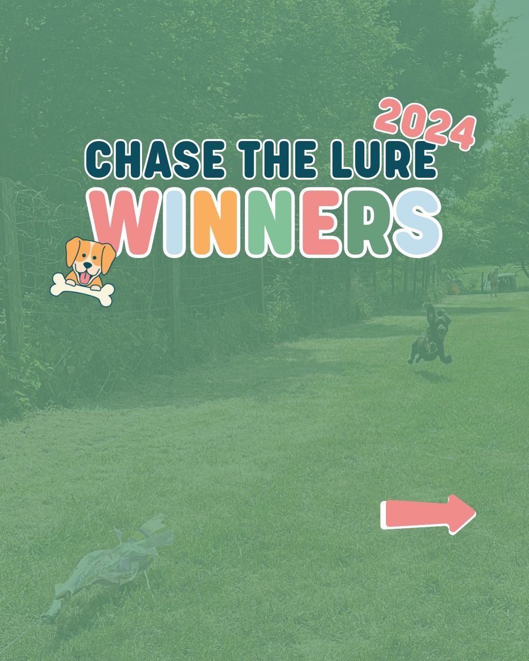 It was so lovely to see so many of you trying out the Chase the Lure last weekend! 🐕 Check out the top 10 winners from each day... both long and short legged! 

Fasted Dog of the Day was sponsored by the awesome @nonstopdogwear and @altonsportsuk wh