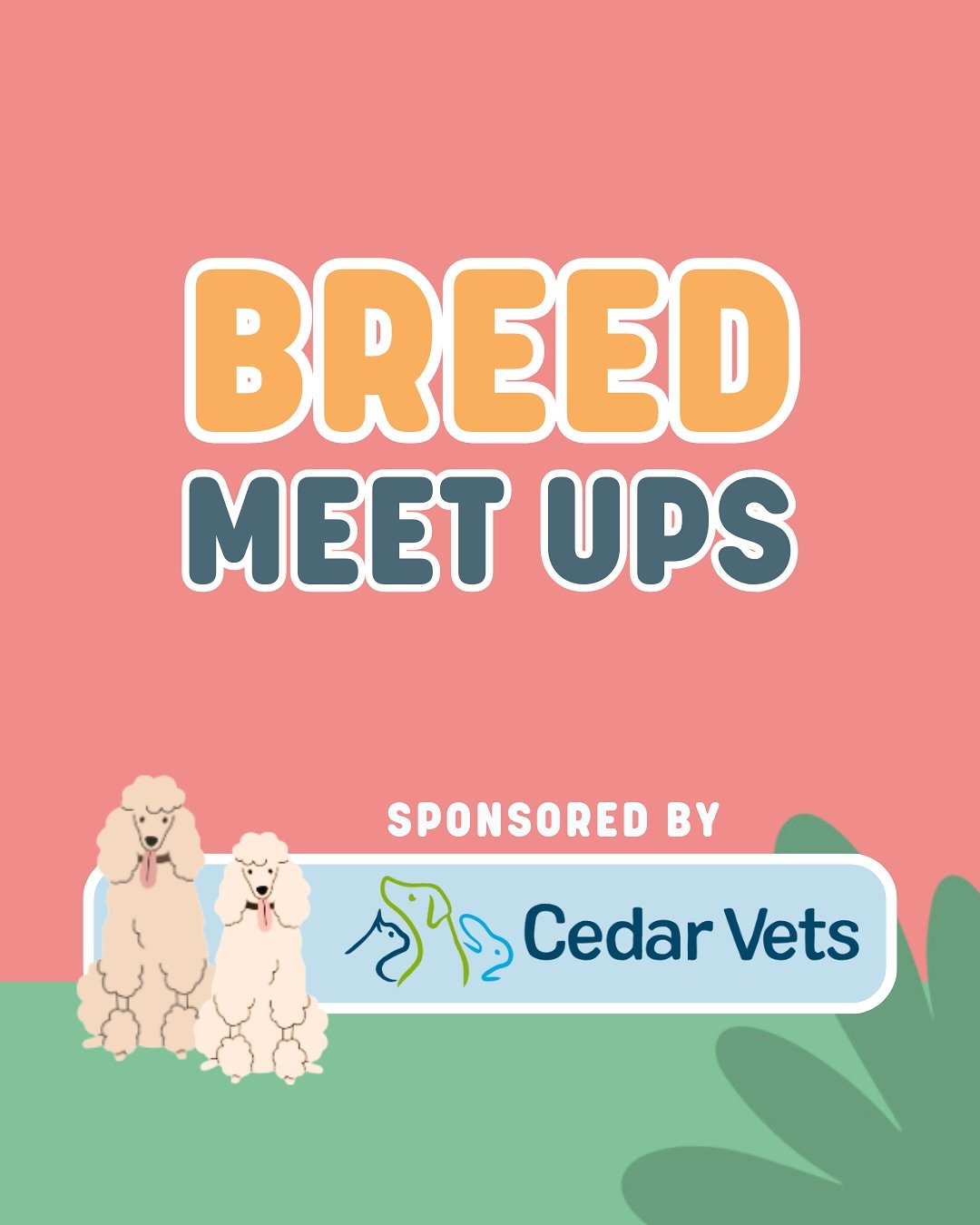 Calling all dog lovers &ndash; the countdown is on! 🐾 Our Breed Meet-Ups are happening THIS WEEKEND at Dogs Day Out!

We&rsquo;ve got a full timetable of breed meet-ups so you can connect with fellow owners, swap stories, and get that pawfect group 