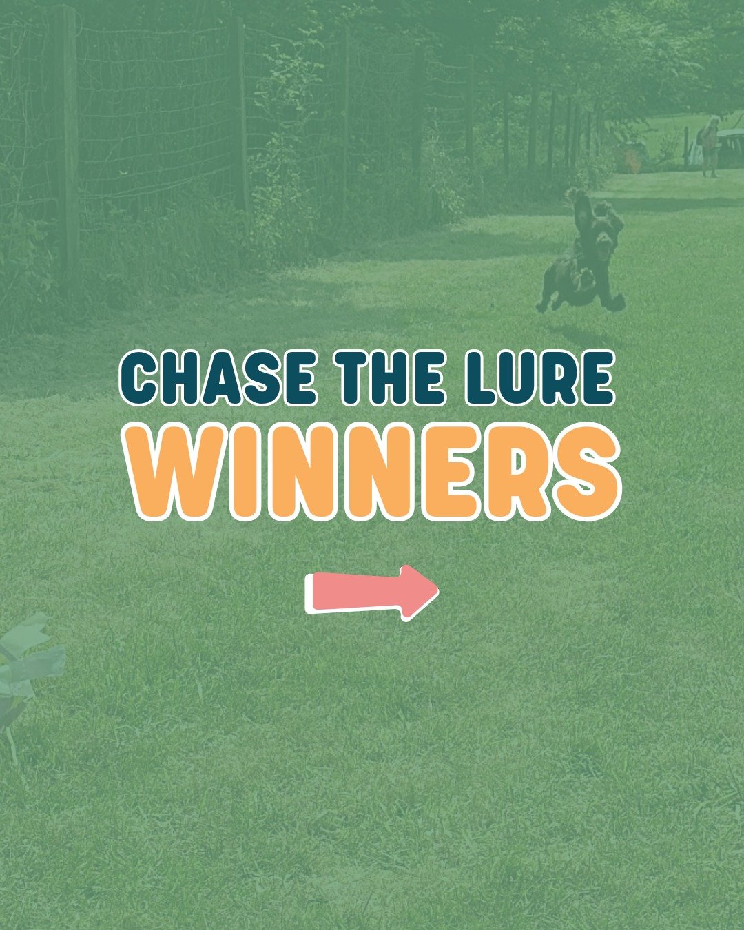 What a weekend! 🐾 A huge thank you to everyone who joined in the fun at Chase the Lure &ndash; we absolutely loved seeing your speedy pups give it their all! 🏁💨

We&rsquo;re thrilled to announce our winners, and a special shoutout to our Long Legs