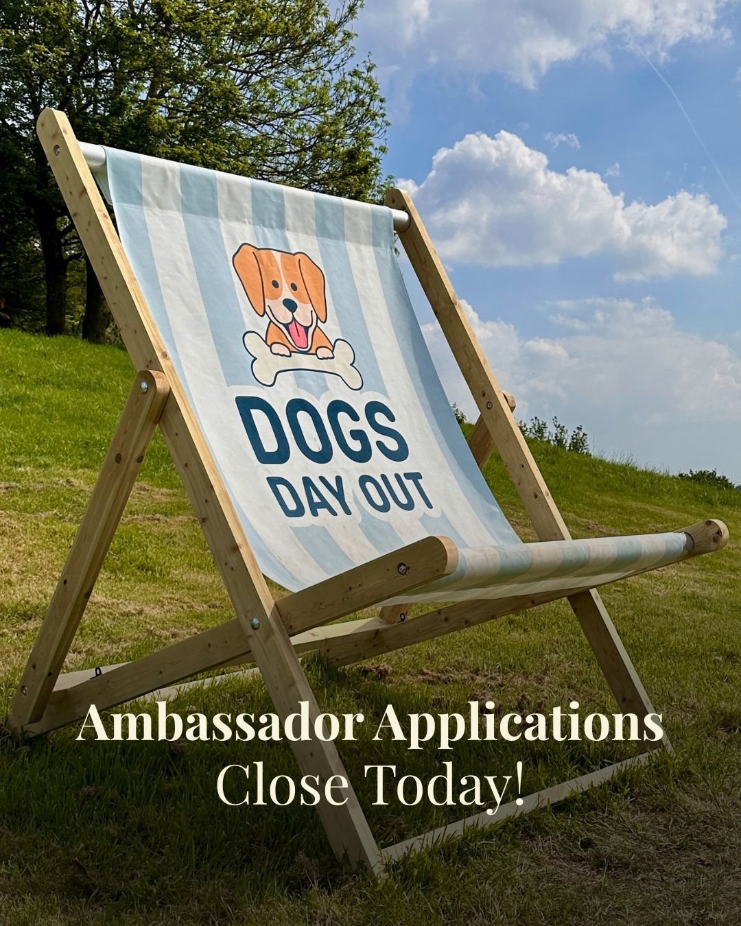 📣 Final Call for Ambassador Applications!
Applications for Dogs Day Out 2026 close today - click the link in the bio to submit your application before midnight tonight!
Good Luck! ✨ 

#dogsdayout2026 #ukdogevents #hampshiredogevents #hampshiredaysou