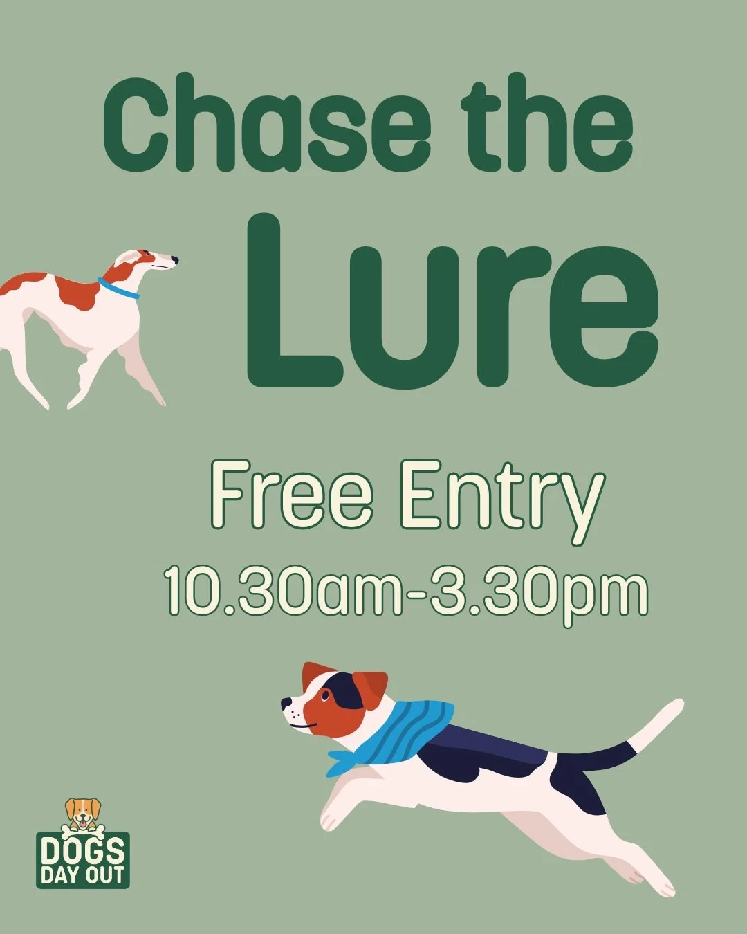 Want to see your dog absolutely FLY?! 💨🐕

Chase the Lure is back at Dogs Day Out&mdash;and it&rsquo;s always a crowd favourite 👀

Watch your pup tap into their natural instincts as they sprint, chase and burn off that serious energy&hellip; (you m