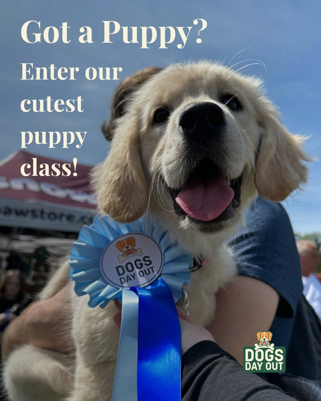 Got a puppy? 🐶💛

Then you need to enter our Cutest Puppy Competition at Dogs Day Out this year&hellip;

Because this isn&rsquo;t just a quick class &mdash; it&rsquo;s their first little moment in the spotlight 🥹

✨ WIN a &pound;100 photoshoot with