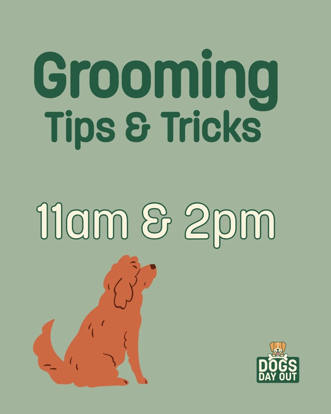 NEW to Dogs Day Out this year! 
🧼 Grooming demonstrations with Groovy Grooming - tips and tricks you can try at home
🐕 Guided walks around even more off our beautiful private parkland 

And this isn&rsquo;t all - there&rsquo;s so much more to see a