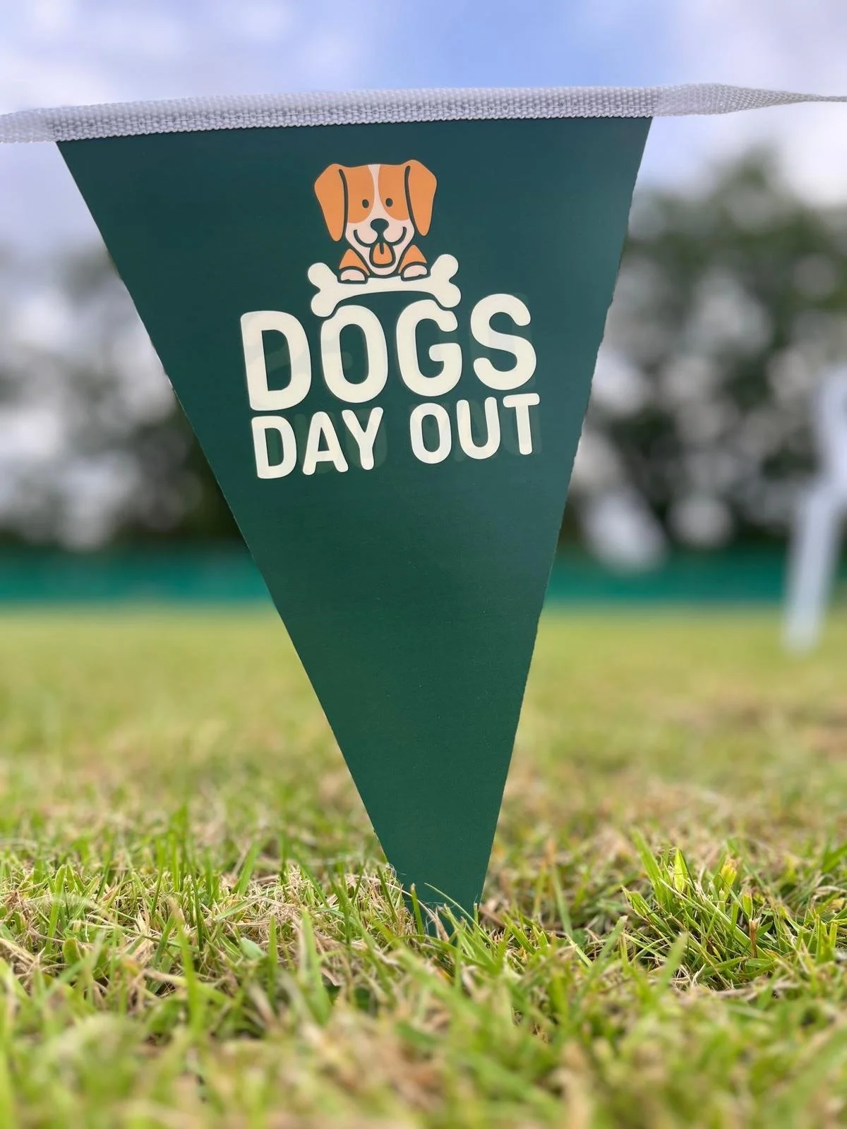 Dogs Day Out 2026! What an absolute blast 🎉
And today we go again!! 
🎟️Tickets available on the door 

📍East Worldham, Alton, GU34

Links in bio 

#dogsofinstagram #dogsofhampshire #dogsdayout #dogsdayoutworldham