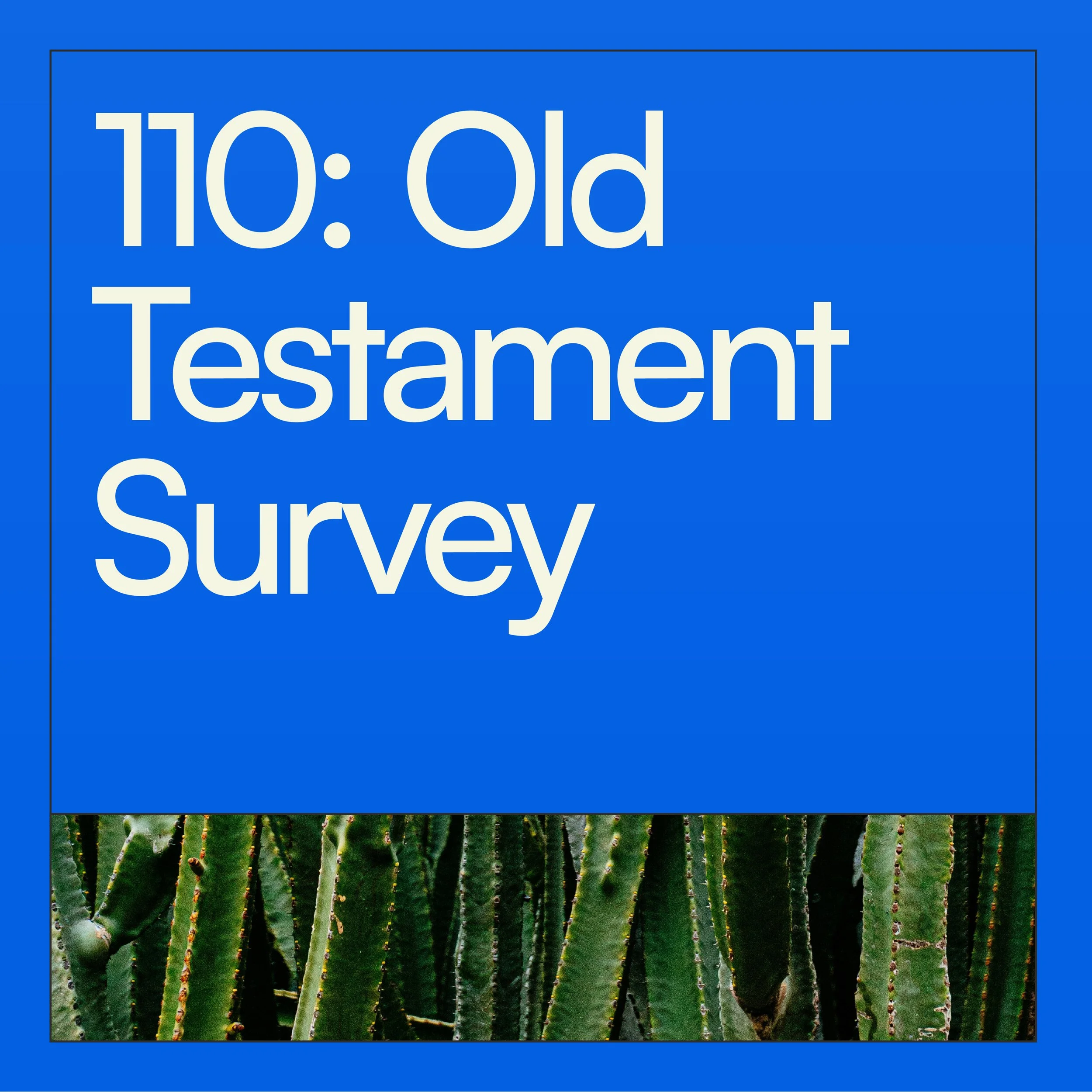 ASOM Class Tiles_Certified English_110.jpg