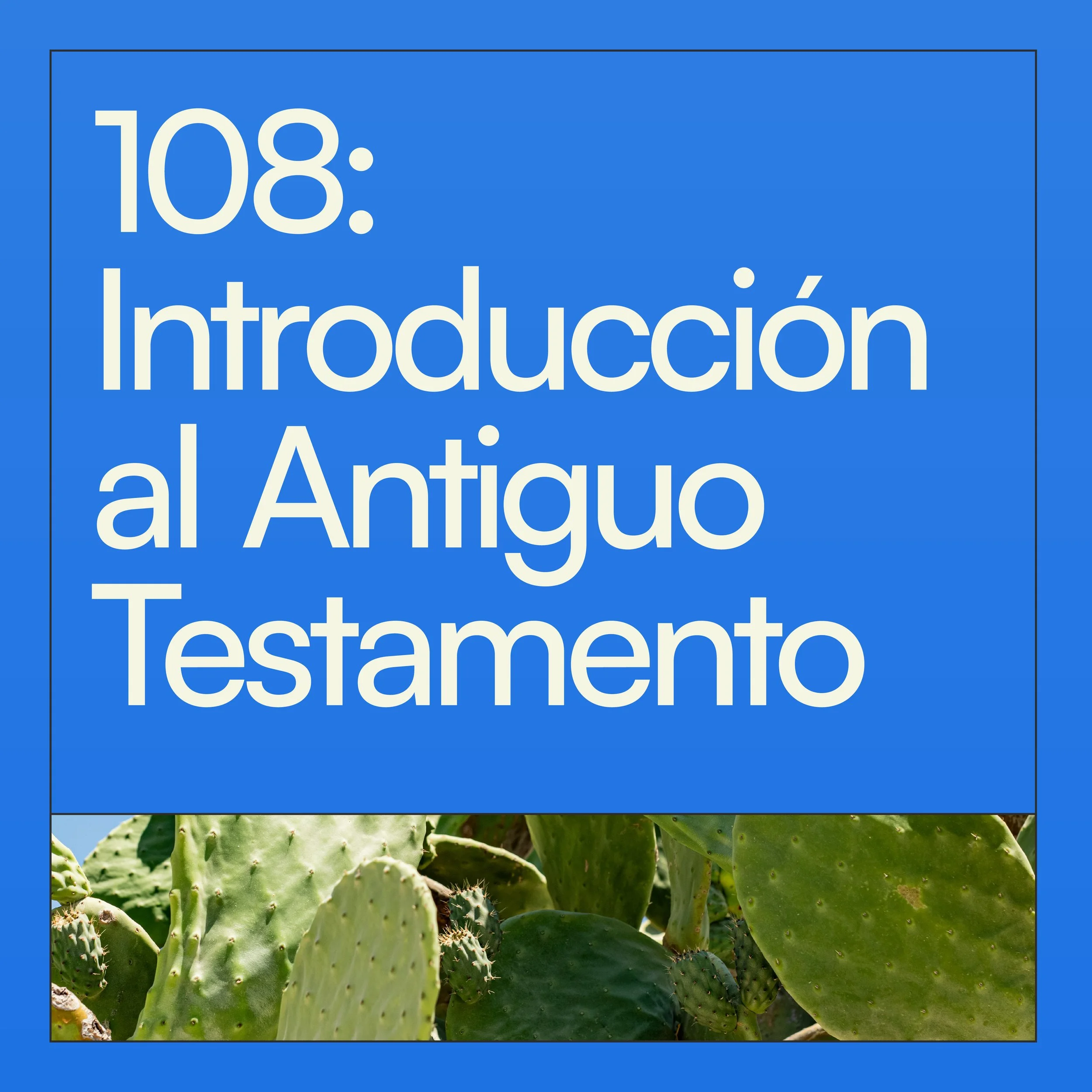 ASOM Class Tiles_Certified Espanol_108.jpg