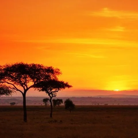 How to commit to Yourself