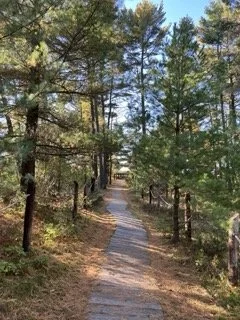 Thanks|Gratitude Part 1