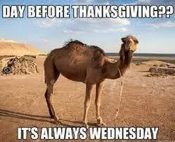 Thanks|Gratitude Part 2