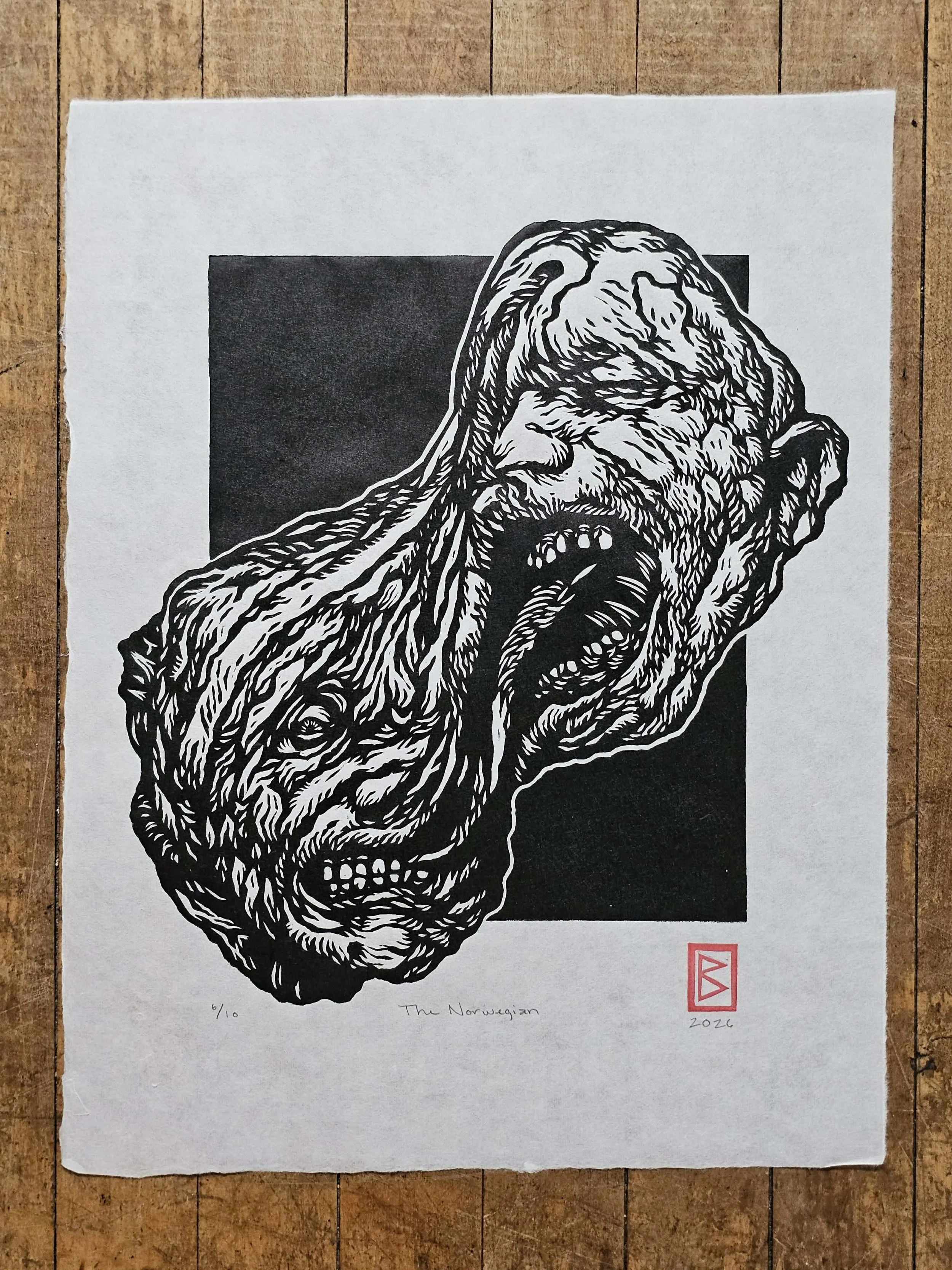The Norwegian Print