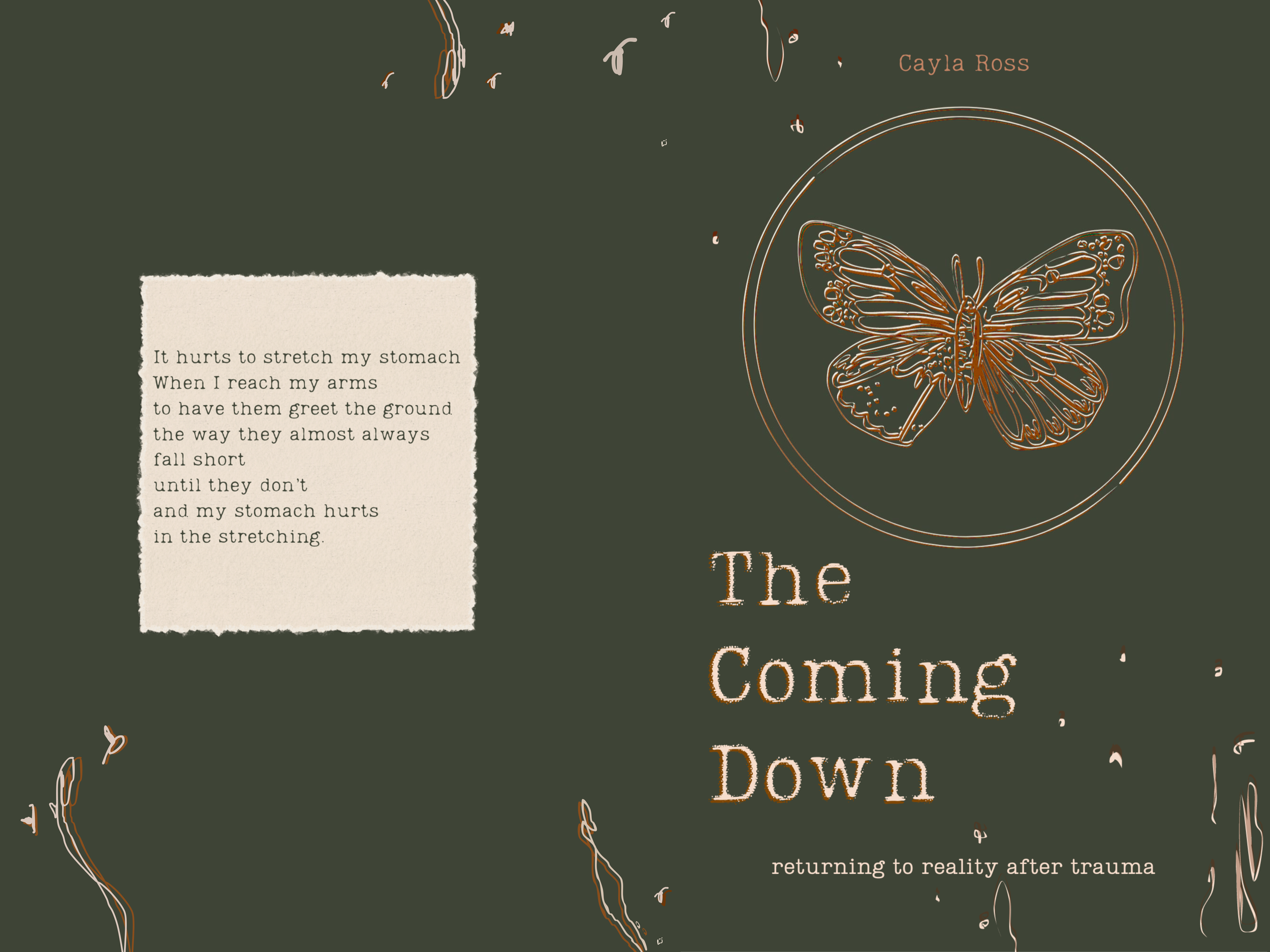 The Coming Down - BOOK