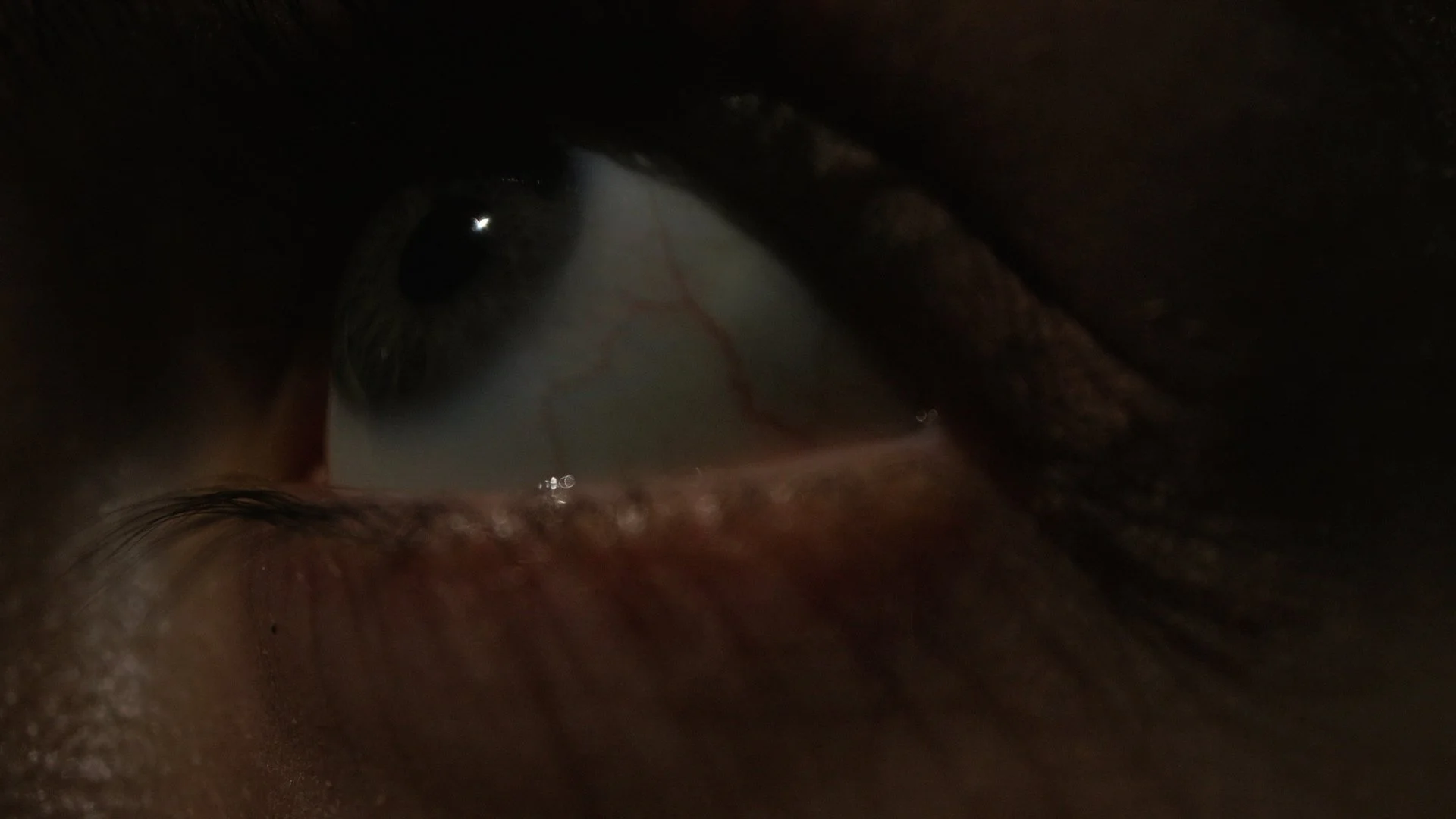 Sequence 01.01_19_54_22.Still027.JPEG