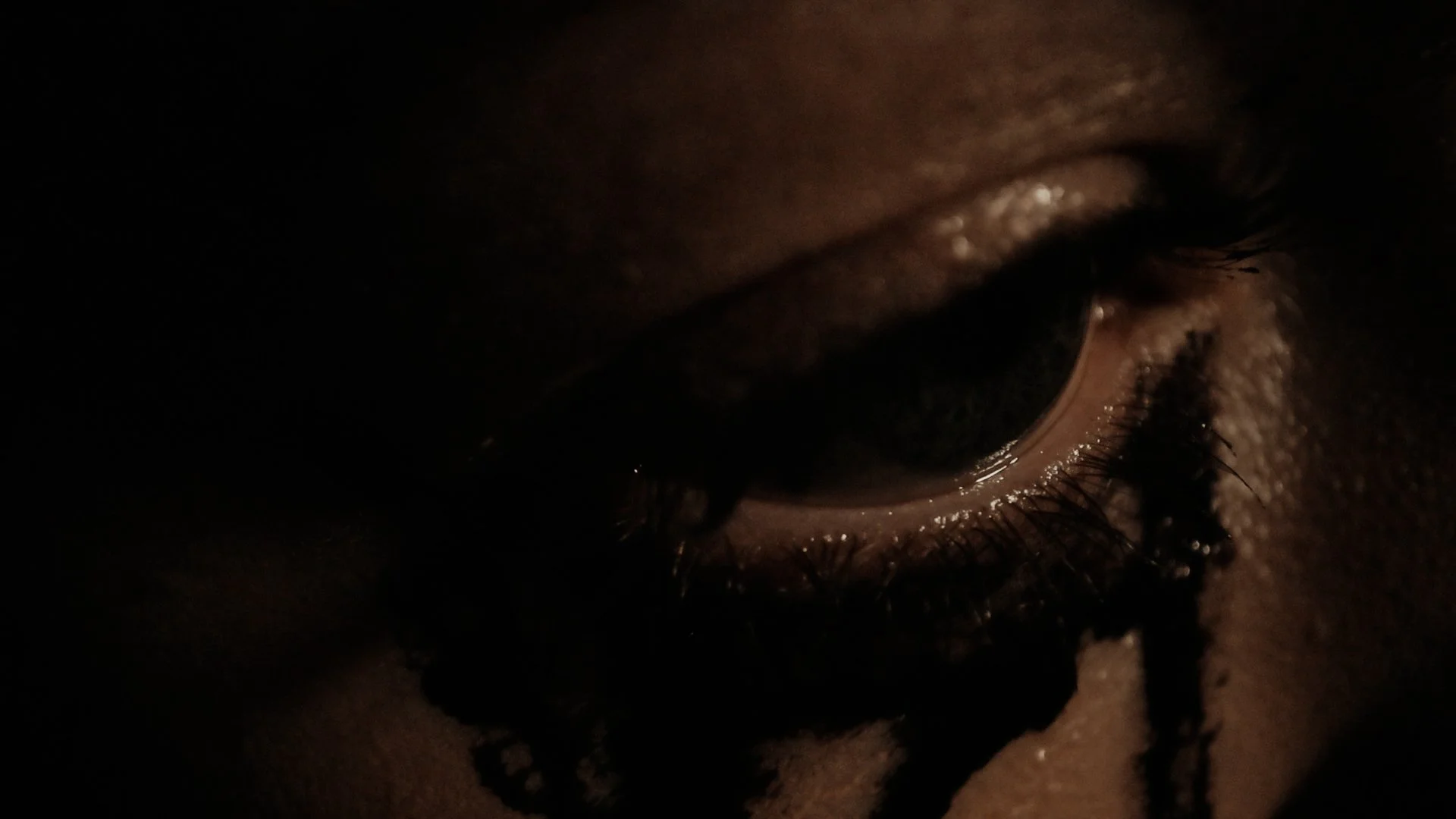 Sequence 01.02_56_35_01.Still033.JPEG