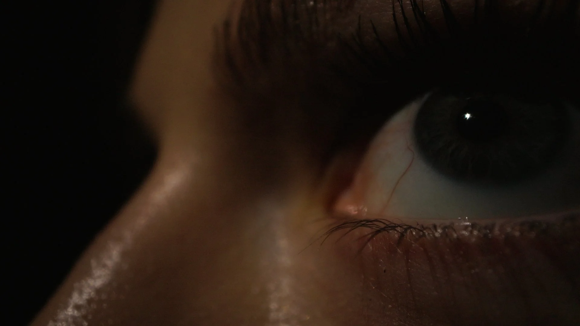 Sequence 01.01_20_21_06.Still026.JPEG