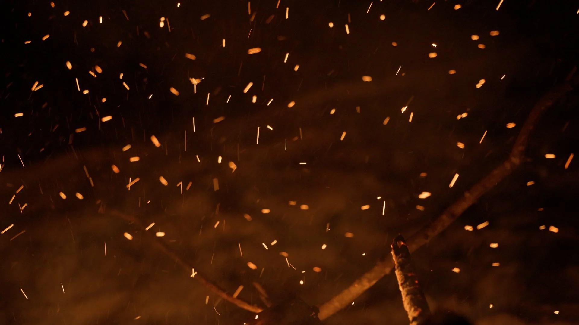 Sequence 01.00_35_53_02.Still022.JPEG