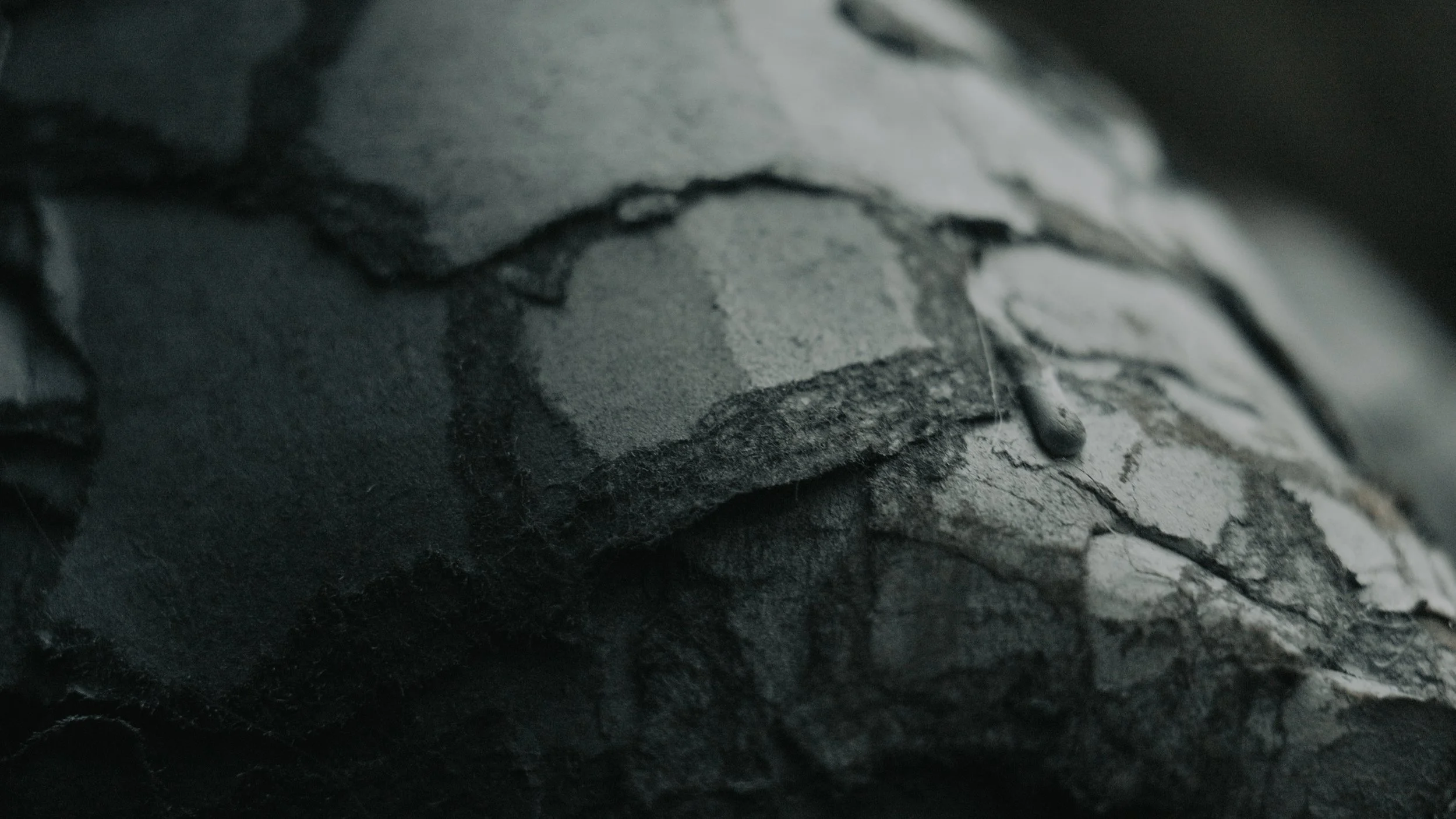 skin_all footage.00_53_38_42.Still013.jpg