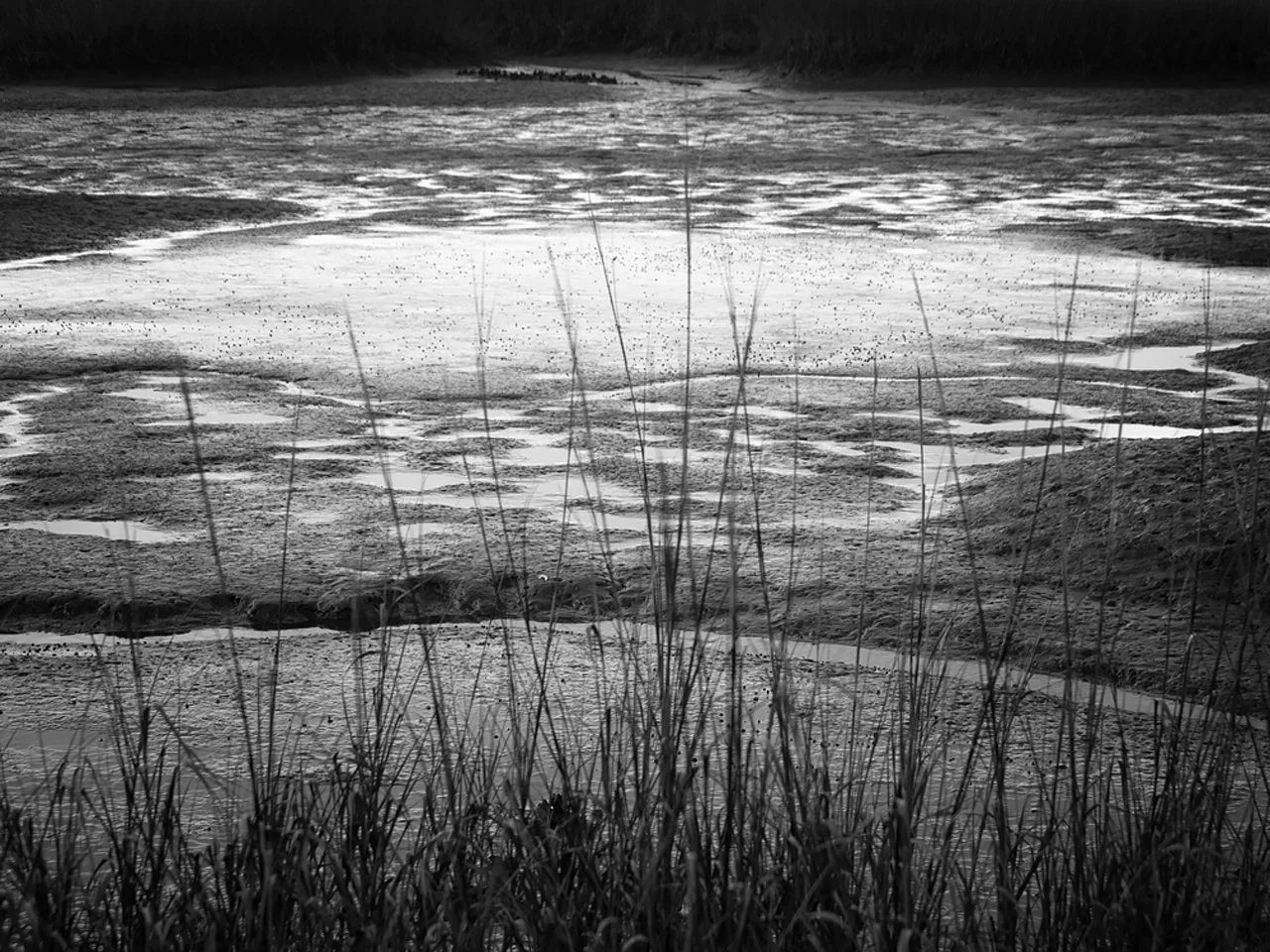 lw_250216_amelia_007c_bw.jpg