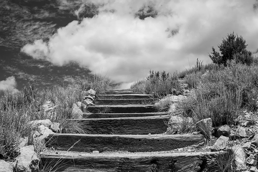 ©John Mcgarry