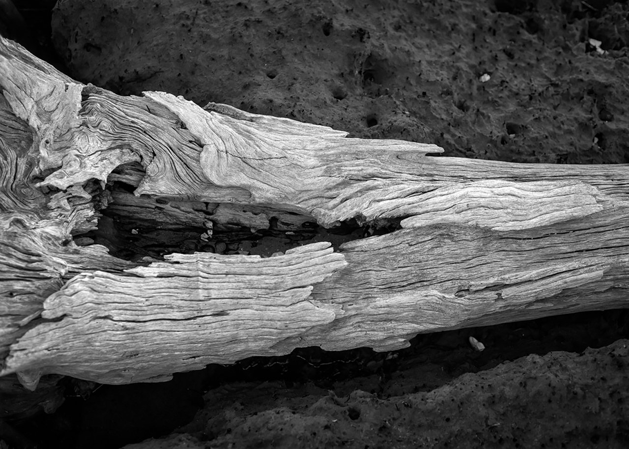 lw_181206_florida_133_bw.jpg
