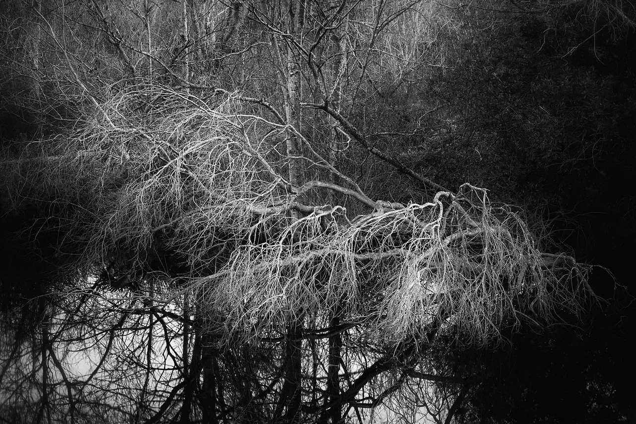 42_LW_070209_EAGANCRK_028_bw.jpg