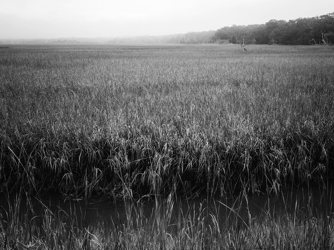 lw_241228_amelia_148_bw.jpg