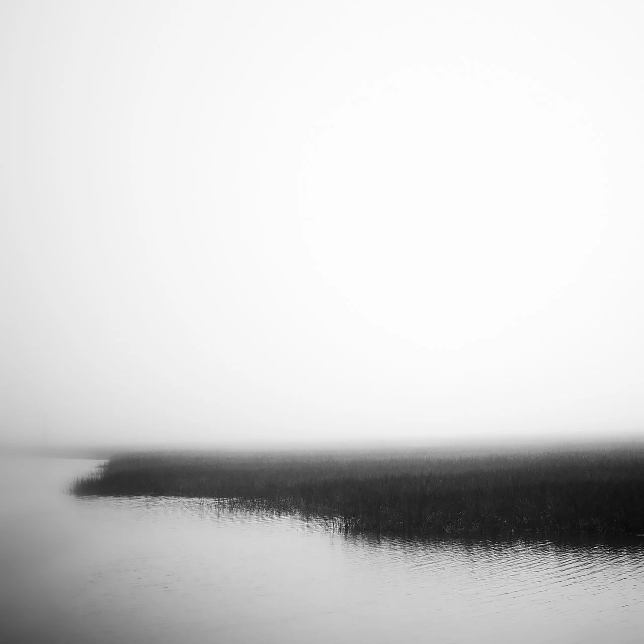 High Tide Along Eagan's Creek