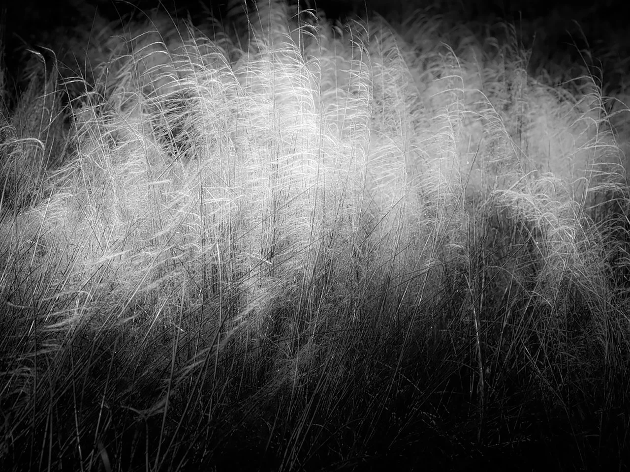 66_lw_171130_sand_236c_bw.jpg