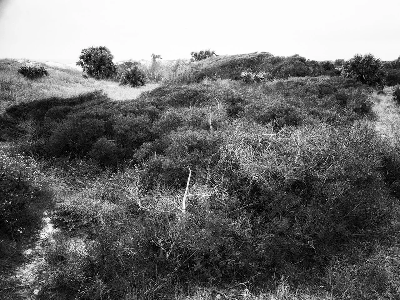 lw_241227_amelia-017_bw.jpg