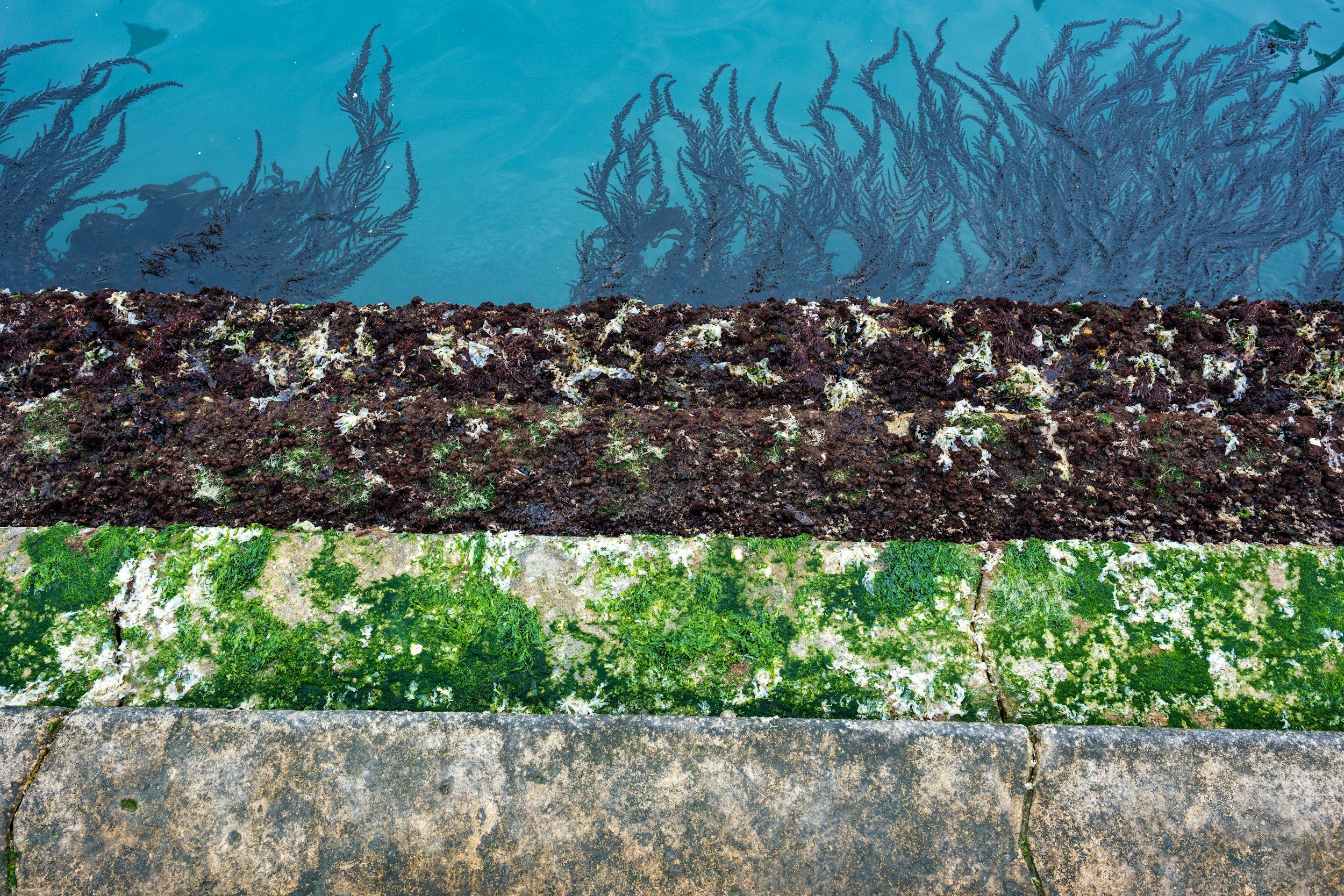 Careers in Sustainable Aquaculture