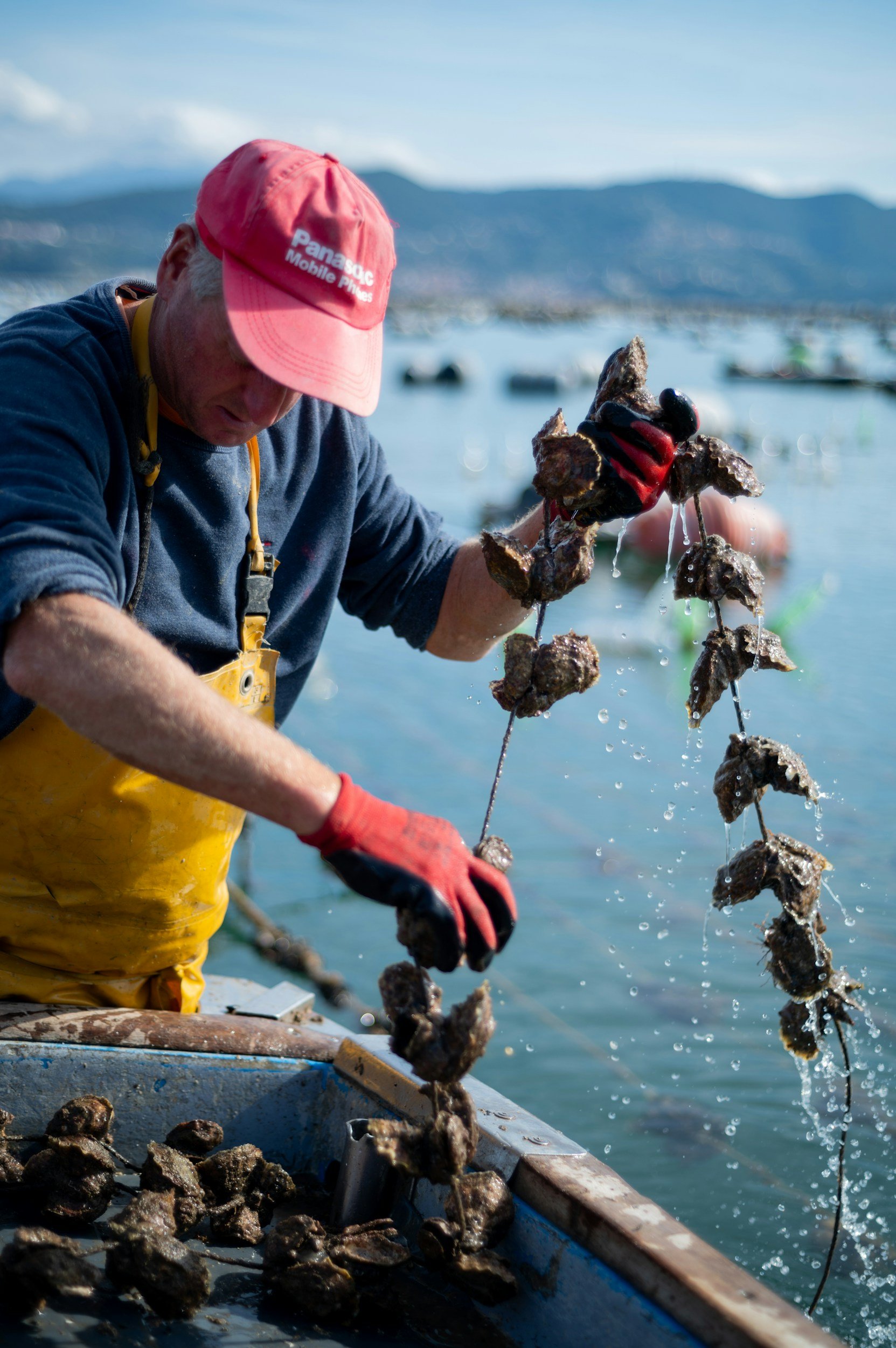 How to Choose the Right Aquaculture Career Path