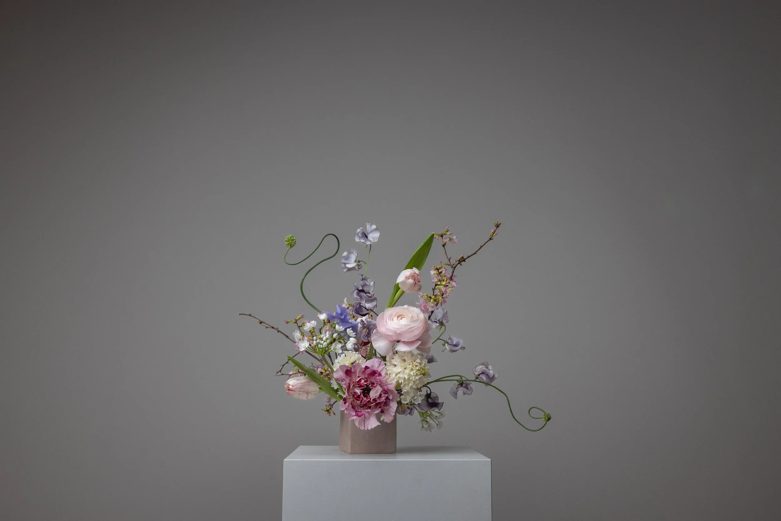 20260127_@max_esposito_Jura_094 (1).jpg