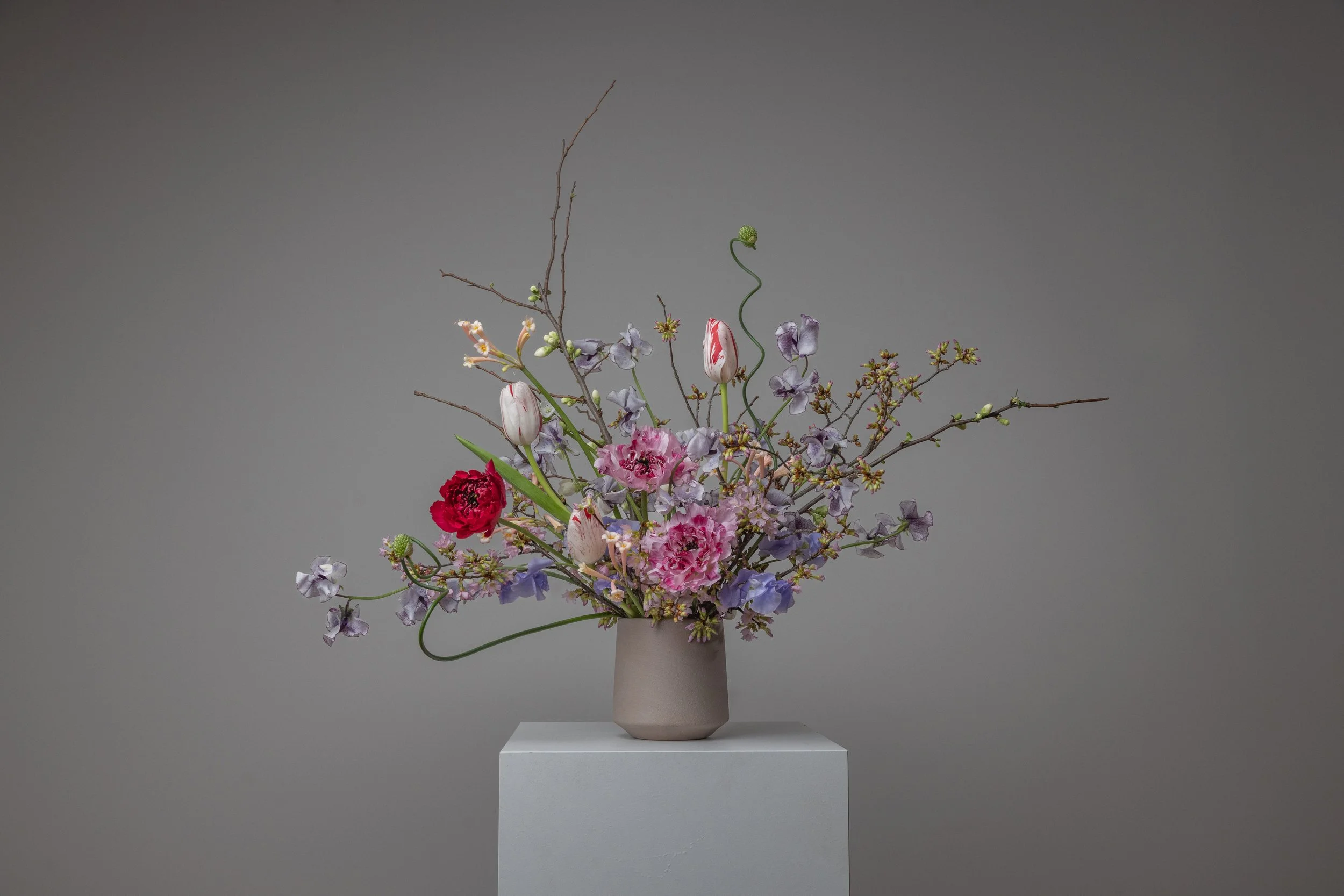 20260127_@max_esposito_Jura_070 (1).jpg