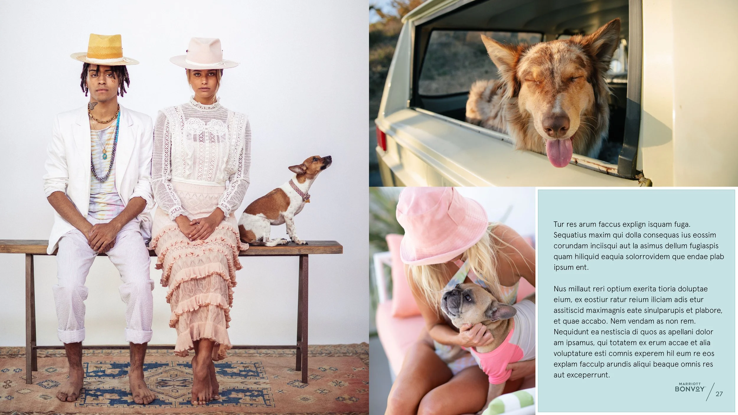 A couple in stylish clothing sits on a bench with straight faces, while a small dog looks off to the right. Another image shows a dog with its head out a window with a doggy smile.