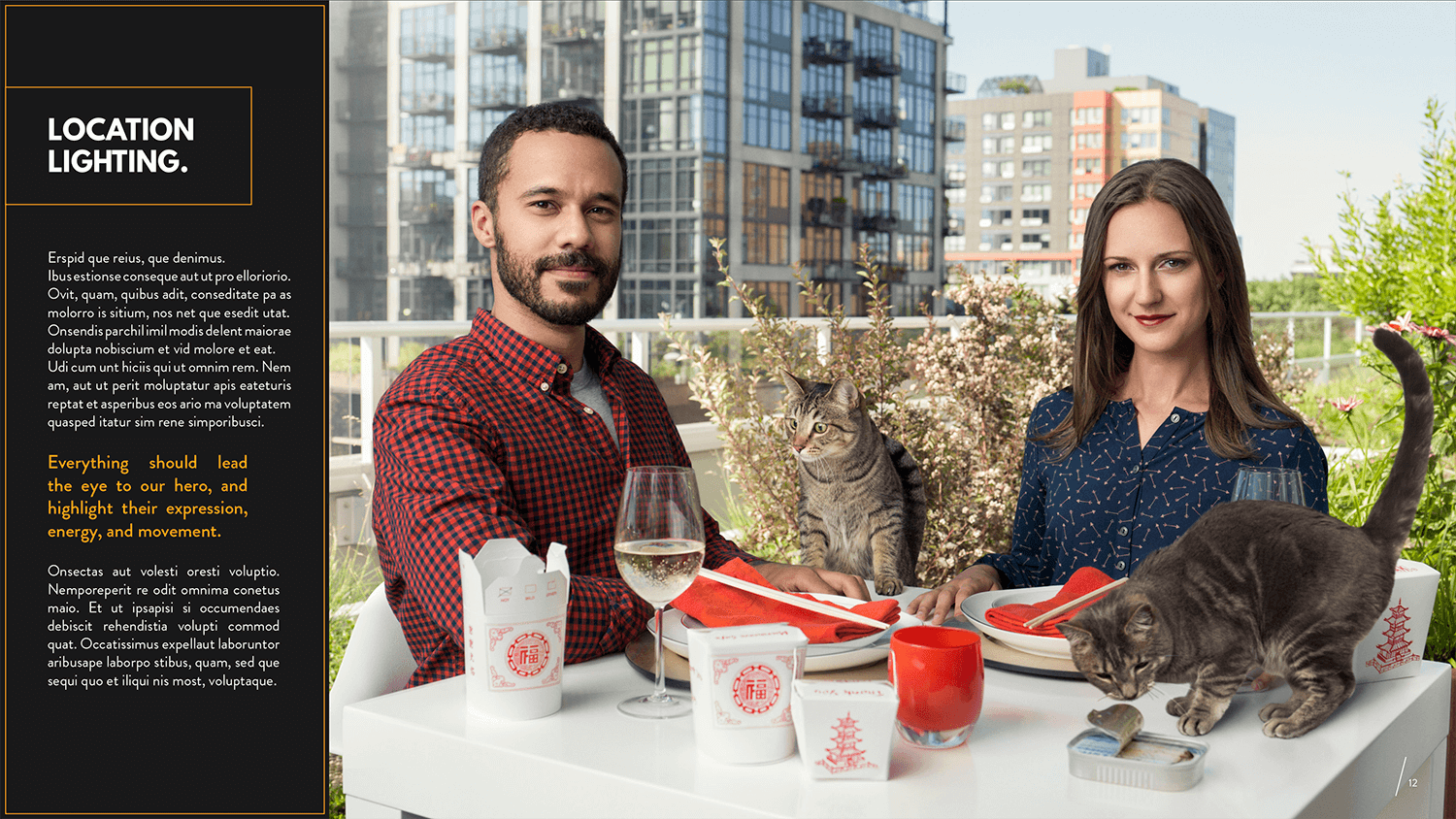 Proposal page on lighting. A couple eating Chinese food with two cats on table