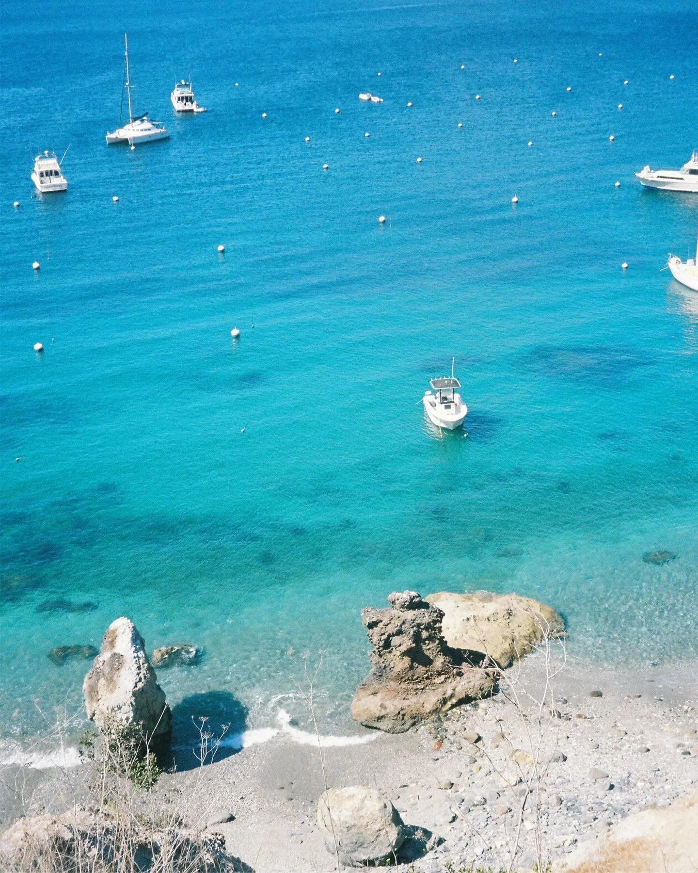 A special slice of the world ~ knitti bitti scenery shot on Catalina Island by @katiiemcdonald ⭐️