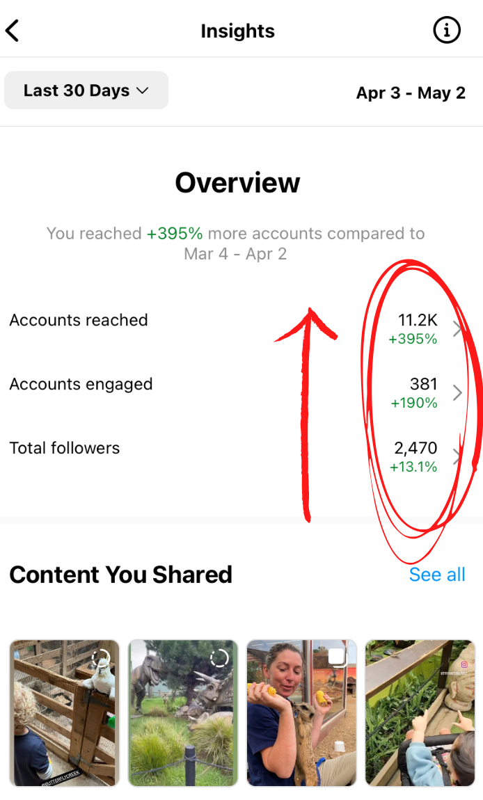 Social media insights dashboard showing statistics for the last 30 days from April 3 to May 2, with total accounts reached 11.2K, accounts engaged 381, and total followers 2,470. A red arrow and circles highlight the stats. Below are thumbnails of shared content on animals and people at a zoo or wildlife park.