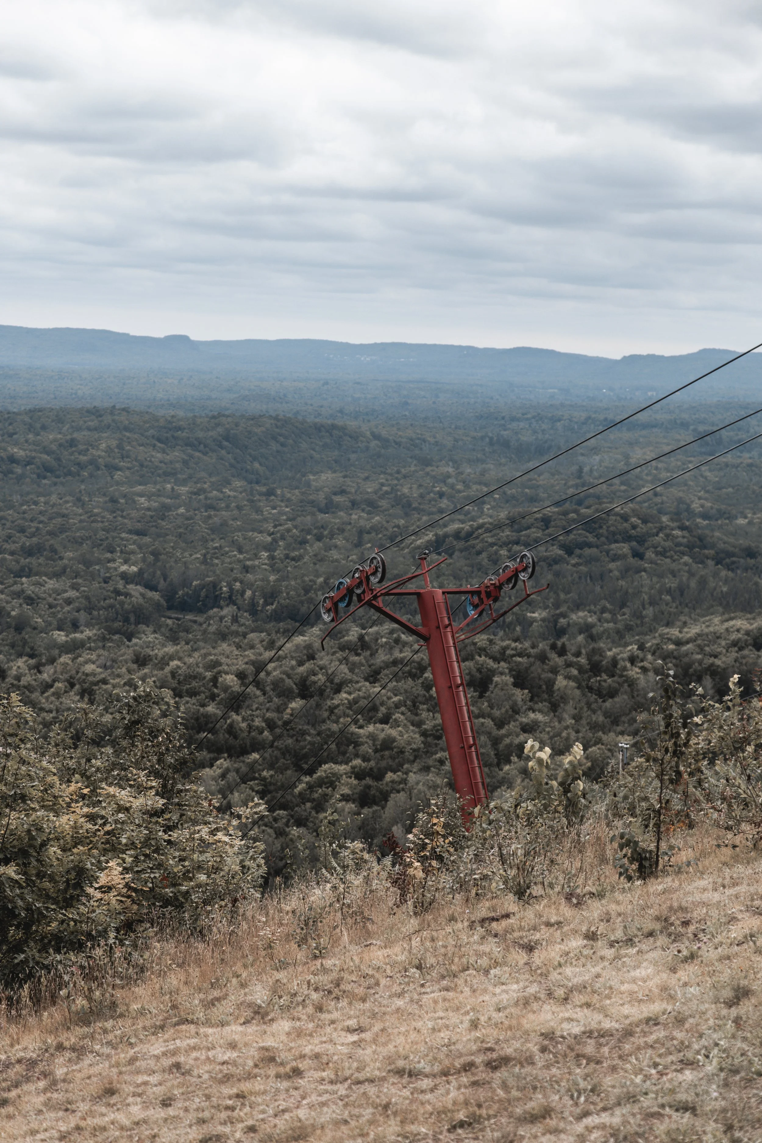 Mastering the 2023 Instagram Algorithm