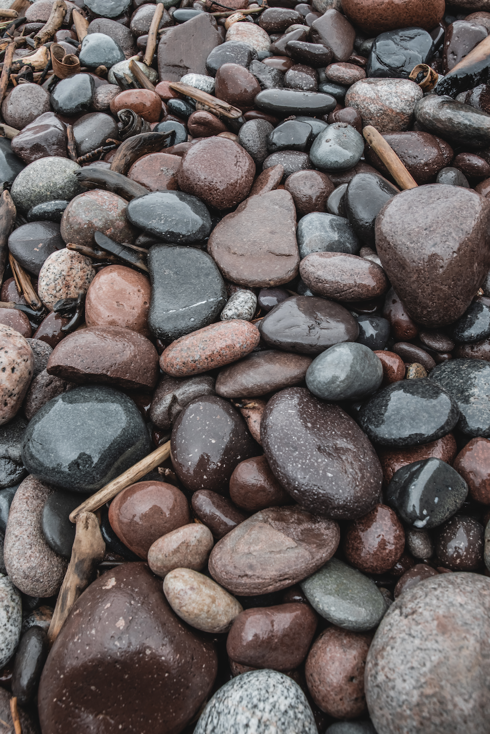 The  Role of Lighting in Photography and Videography