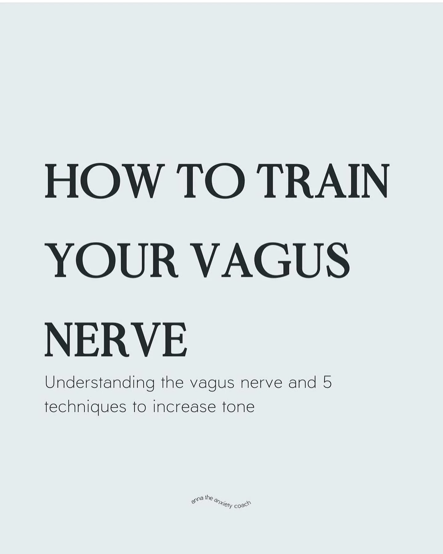 The Vagus Nerve 

Repost: @annatheanxietycoach 
- - - - - - - - - - - - - - - - - - - - 
Access calmer states through your vagus nerve 🧬
⁠
Your vagus nerve is 75% of your parasympathetic nervous system and acts as a counterbalance to fight/flight re