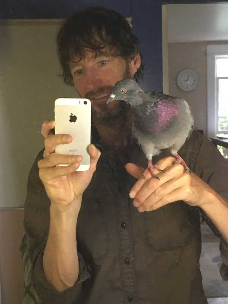 A man with dark hair and a beard taking a selfie in a mirror while holding a pigeon on his finger. The man is wearing a dark button-up shirt and is smiling. The pigeon has iridescent purple and gray feathers.